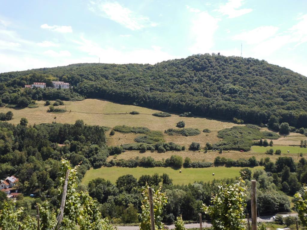Burg-Hotel Obermoschel Zewnętrze zdjęcie