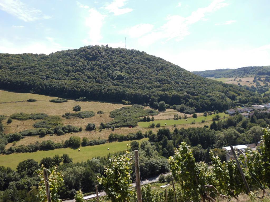 Burg-Hotel Obermoschel Zewnętrze zdjęcie